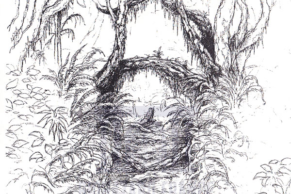Illustration des marécages (1)