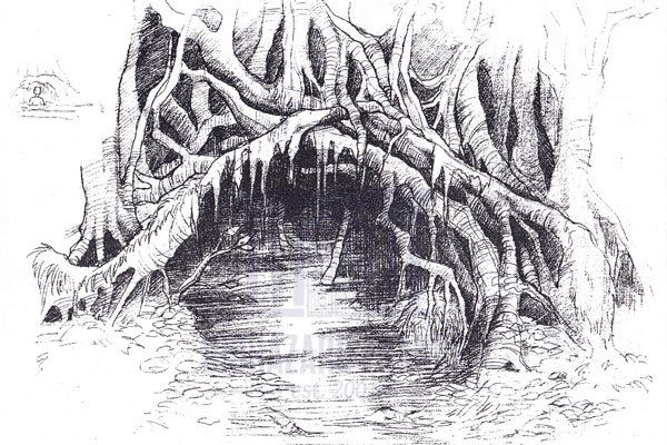Illustration des marécages (3)